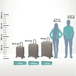 IT Luggage Spontaneous - Cabin (Feather Grey) 25 IT Luggage Spontaneous - Cabin (Feather Grey) -IT Luggage Store Spontaneous Set Feather Relative Size dba37eaa daca 4b24 9ea0 f61ea00dba31